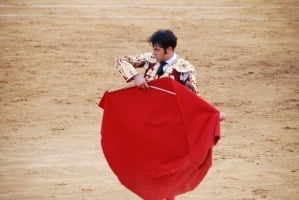 Tjurfäktning – spanskt kulturarv som berör