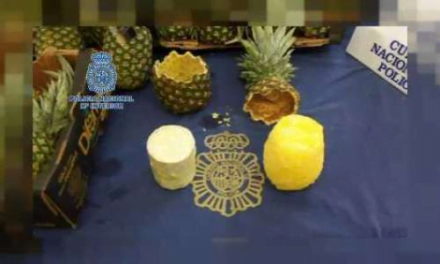 Ananas innehöll kokain