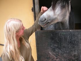 Den spanska hästen – känd för sitt stora hjärta och mod
