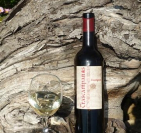 Det spanska vinets historia – fast roligare än det låter!