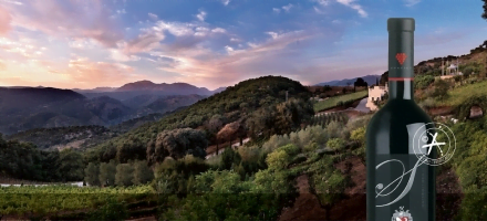 Finca Buenavista, Bodega Cezar och Cortijo Larios