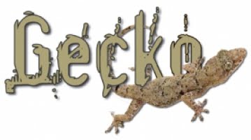 Gecko: Uppskattad ödla med hår under fötterna