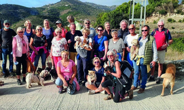 HÄRLIGA HUNDVANDRINGAR I FRIGILIANA OCH NERJA