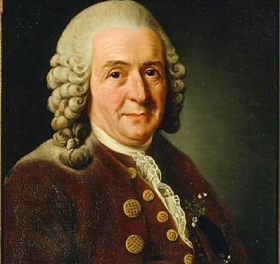 Linné 300 år – En snillrik vetenskapsman