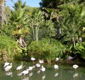 Naturparken ”Senda El Retiro”