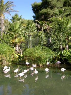 Naturparken ”Senda El Retiro”