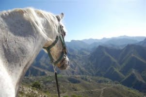 Trekking i Sydspanien: Se naturen från hästryggen