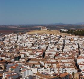 Vargen ylar i Antequera