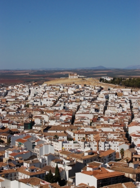 Vargen ylar i Antequera