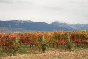 2,7 miljoner liter Rioja-vin till Sverige på tio månader