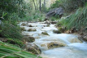 300 vandrar dagligen utmed río Chíllar i Nerja – ännu inga spår efter försvunnen britt