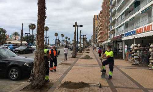 455 nya palmer planteras längs Fuengirolas paseo