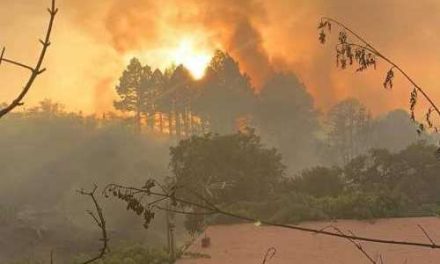 Brand på La Palma under kontroll