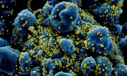 Coronaviruset cirkulerade i Spanien i mitten på februari