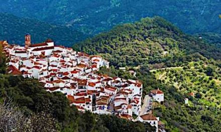 En genuin Andalusisk fest i Algatocín