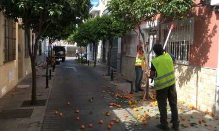 Från bitter apelsinmarmelad till avfallshantering