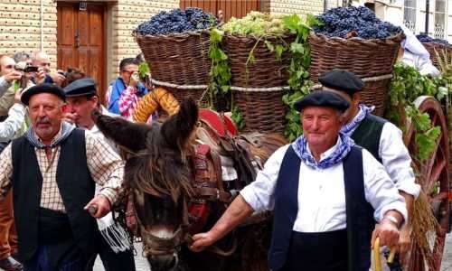 Fredagsvinet: Vinfestivaler och skördefester