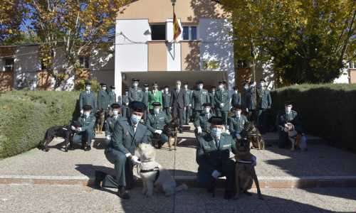 Guardia Civil hundar belönade med hedersmedalj