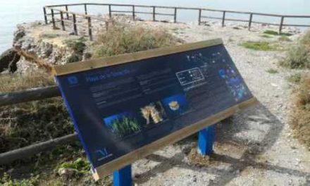 Informationspaneler berättar om kustens biologiska mångfald