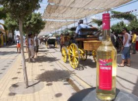 Málagas populäraste vin just nu