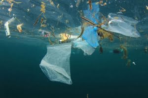 Plast är det vanligaste avfallet i havet