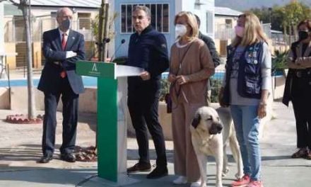 Ny djurskyddslag väntas träda i kraft i Andalusien