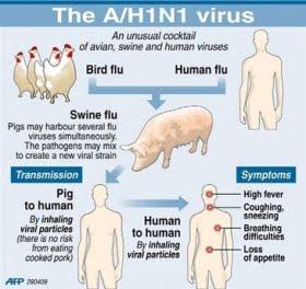 Oklara nyheter kring vaccin mot svininfluensa