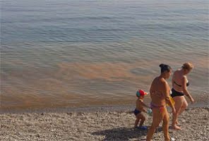 Orangefärgade fläckar i havet