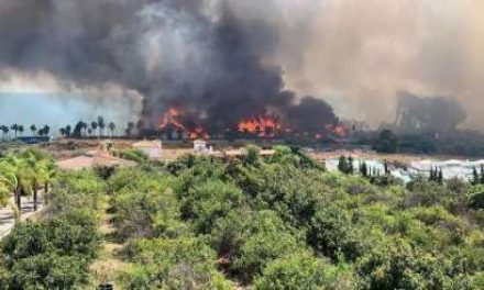 Polisen misstänker avsiktlig brand vid Estepona