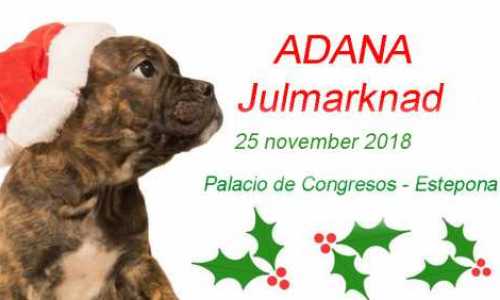 Populär julmarknad i Estepona