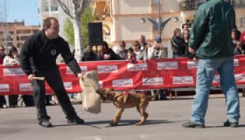 PSOE: ”Hunddag angrepp på den andra republiken och historiska minnet”