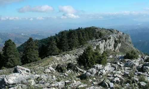Sierra de las Nieves: Grönt ljus till att bli nationalpark