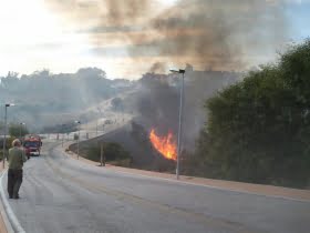 Skogsbrand drabbade två hektar vid Mijas