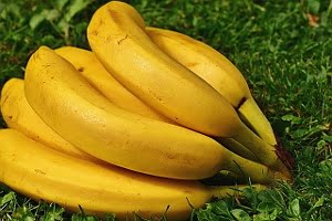 Spanien producerar mycket bananer