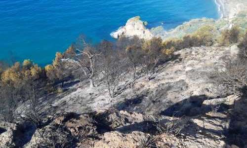 Svensk kvinna gripen för brand på Solkusten