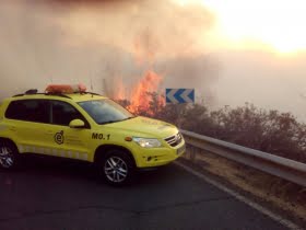 Svensk kvinna omkom i brand på Gran Canaria – skulle skydda sina djur