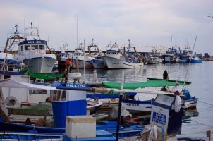 Tillfälligt stopp att fiska bläckfisk gör att yrkesfiskarna protesterar
