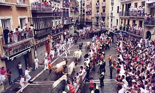 Tjurrusningarna i Pamplona är inställda i år