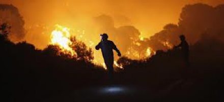 Tuff sommar med skogsbränder väntar brandförsvaret