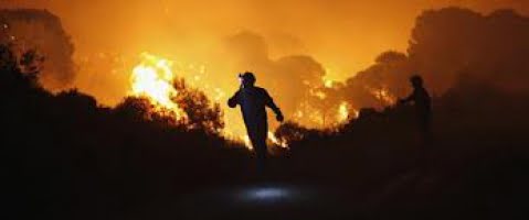 Tuff sommar med skogsbränder väntar brandförsvaret