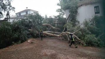 Upp till 250 mm regn föll i inlandet