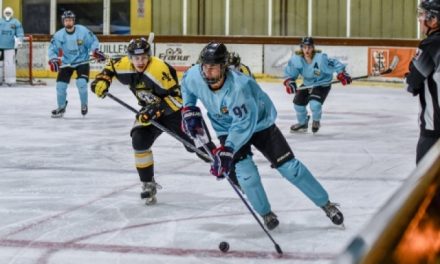 Upp till 40 svenska ishockeyspelare i spanska ligan