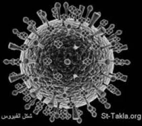 Vaccinering mot svininfluensan startar om två månader