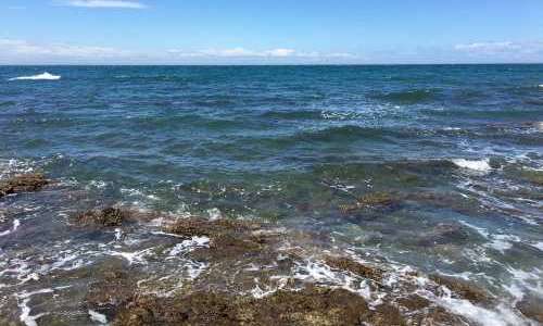 Varmare i luften men svalare i havet