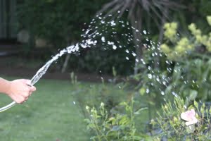 Vattenbrist tvingar fram böter vid trädgårdsbevattning