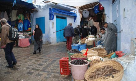 Marocko, Fes och Meknes med vinprovning (2 – 6 november 2022)