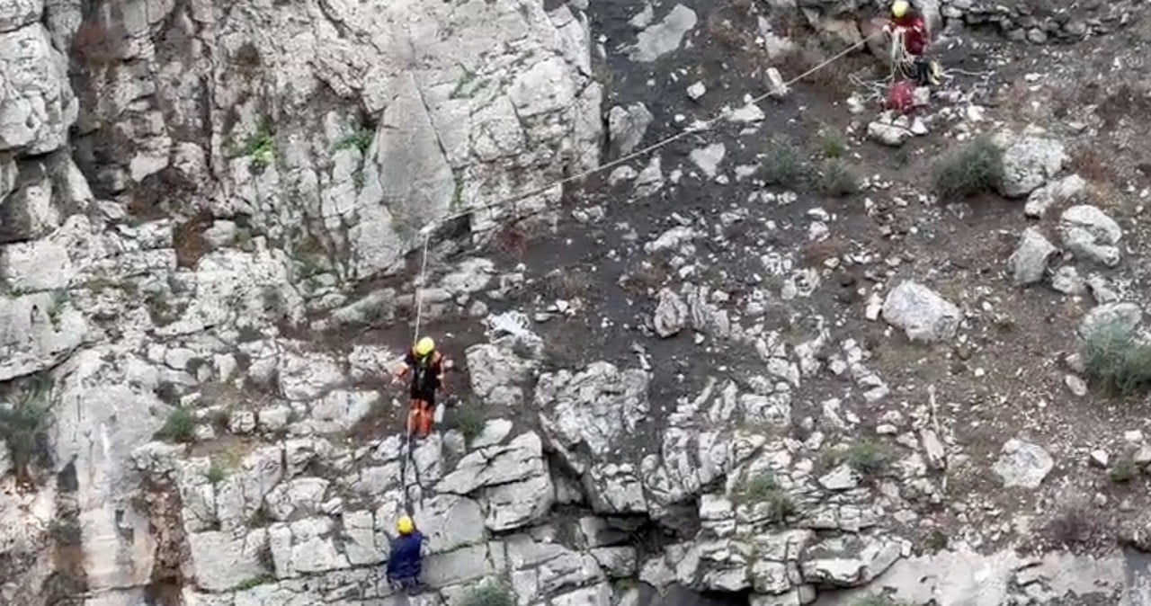 Skärmavbild 2022-12-15 kl. 15.10.17 – stor