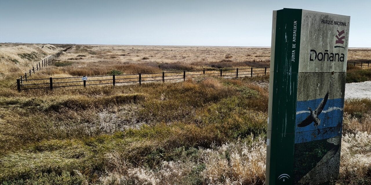 Regeringen satsar 70 miljoner i kommunerna kring Doñana nationalpark