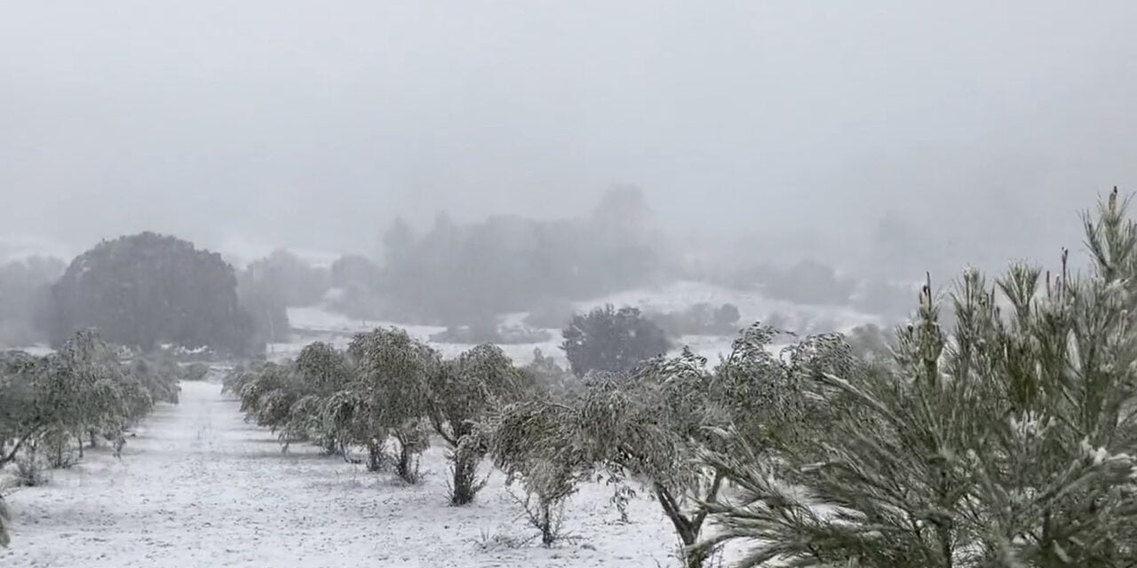 Historiskt snöfall på Mallorca lamslår delar av ön