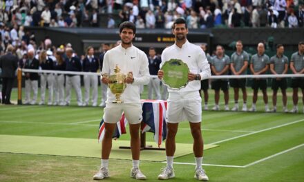 Wimbledonfinalisterna till Davis Cup